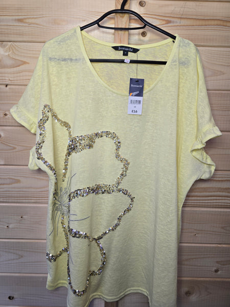 Ladies BNWT top - 18